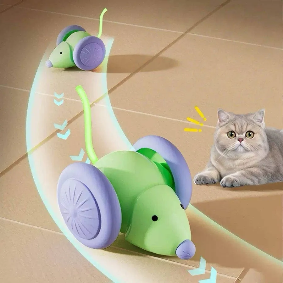 Rechargeable Smart Racing Pet Toy — wholesale Pet by the case