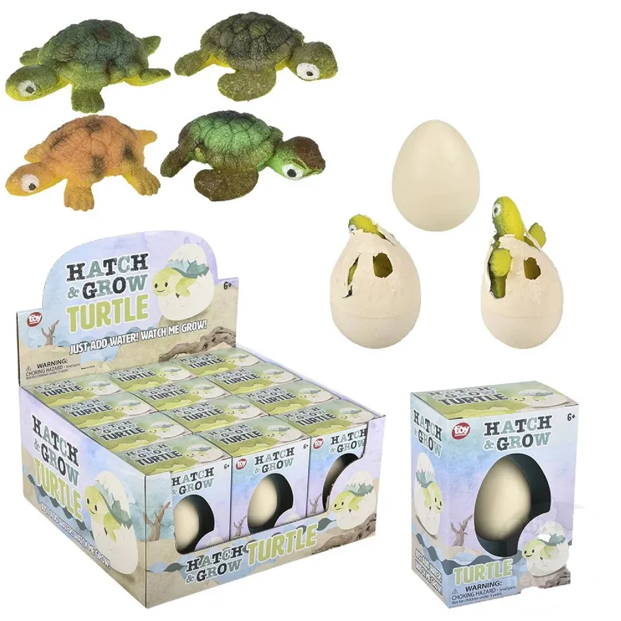 Small Hatch And Grow Turtle Egg — wholesale Apparel & Accessories by the case