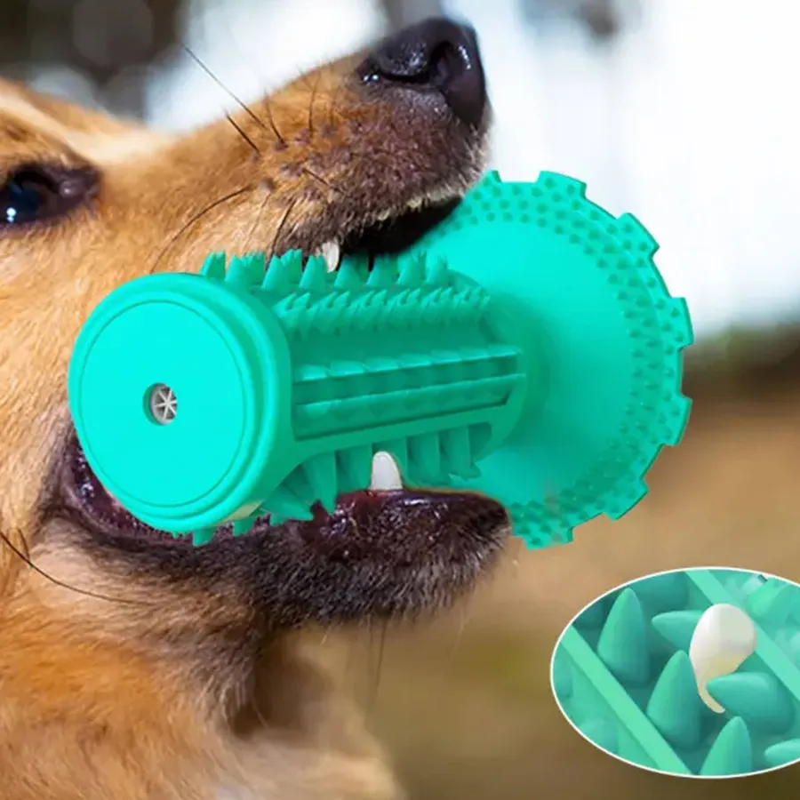 Squeaky Molar Toothbrush Dog Toy - Teeth Cleaning — wholesale Pet by the case
