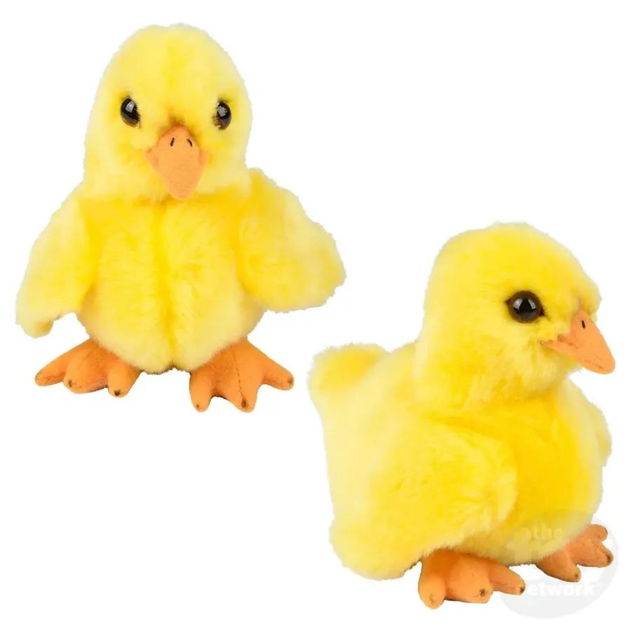 Heirloom Treasure Chick Kids Toy — wholesale Toys & Games by the case