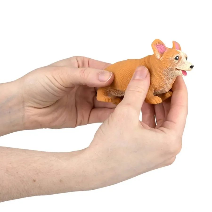 Corgi Stretchy & Squish Fidget Kids Toy — wholesale Fidgets & Sensory by the case
