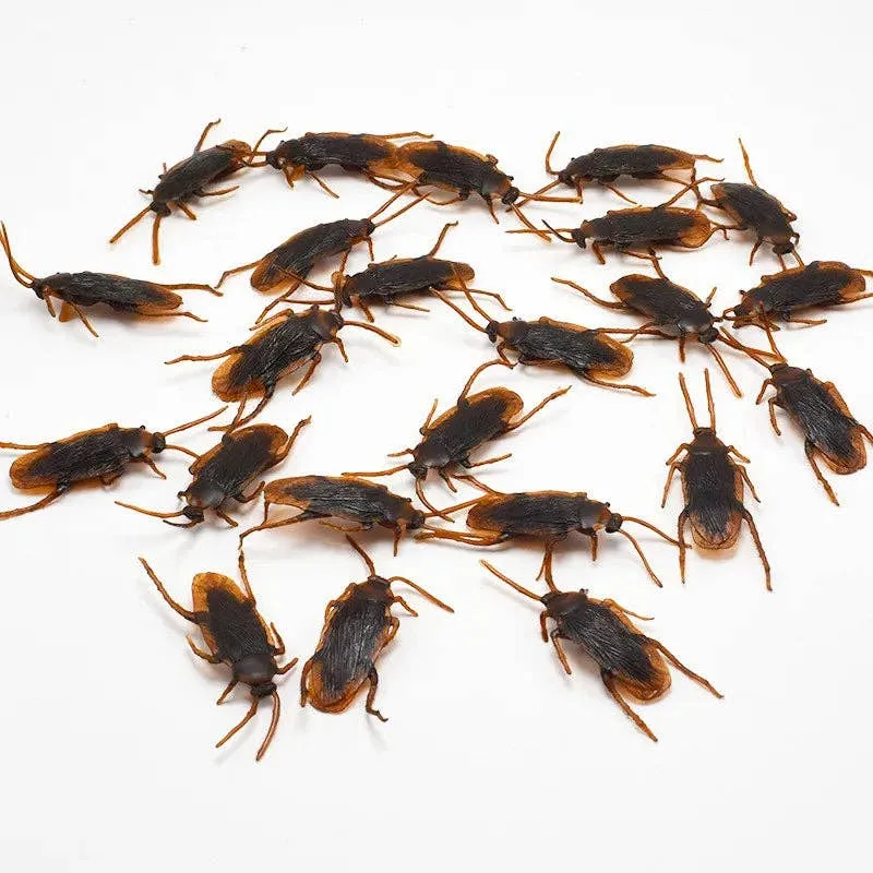 Halloween Plastic Cockroaches - Practical Jokes - Halloween — wholesale Seasonal & Holiday by the case