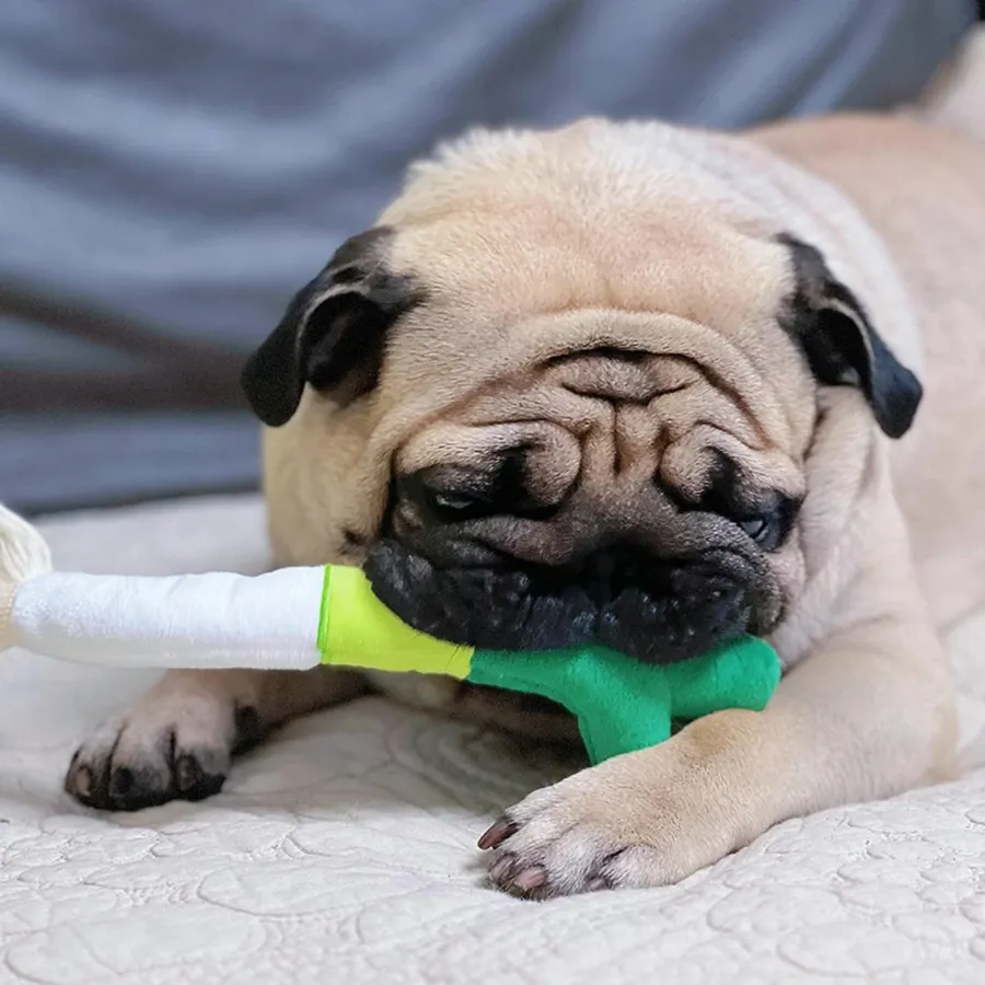 Plush Squeaky Chew Toy for Dogs – Soft & Bite-Resistant — wholesale Plush & Squishies by the case