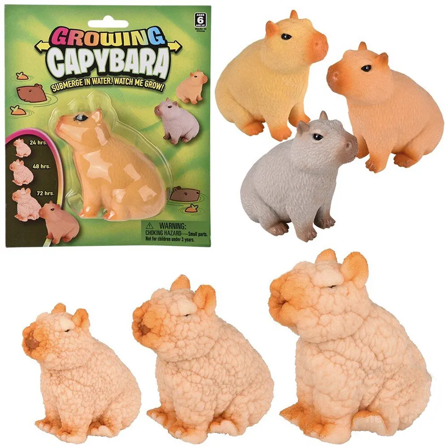 Growing Capybara Fidget Kids Toy — wholesale Fidgets & Sensory by the case