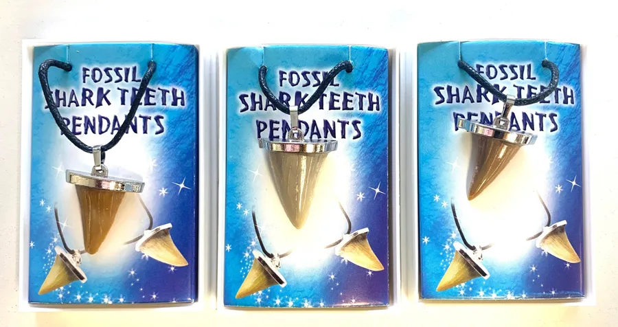 Wholesale Jumbo Size Shark Tooth Fossil Replica Pendant Rope Necklace (Sold by DZ) — wholesale Apparel & Accessories by the case