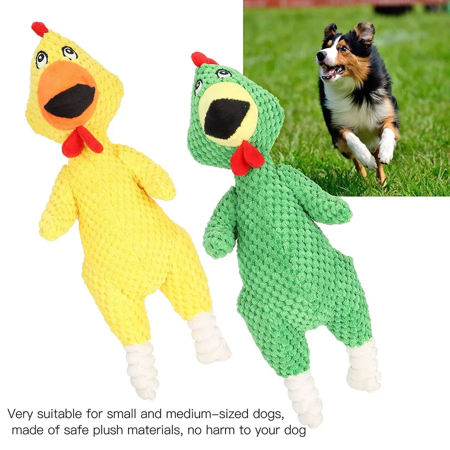 Squeaky Chicken Dog Toy - With Sound - Assorted — wholesale Pet by the case