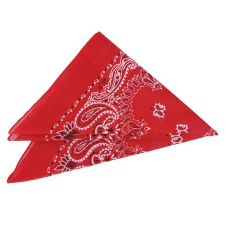 Red Paisley Bandana 19-inch — wholesale More Wholesale Goods by the case