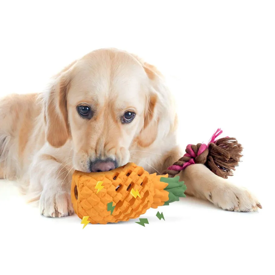 Assorted Dog Treat Toys Bulk Dental Chew Bestseller — wholesale Pet by the case
