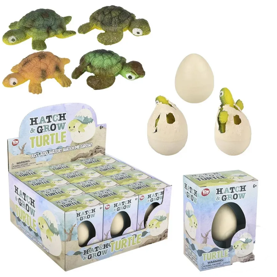 Small Hatch And Grow Turtle Egg In Bulk — wholesale Apparel & Accessories by the case
