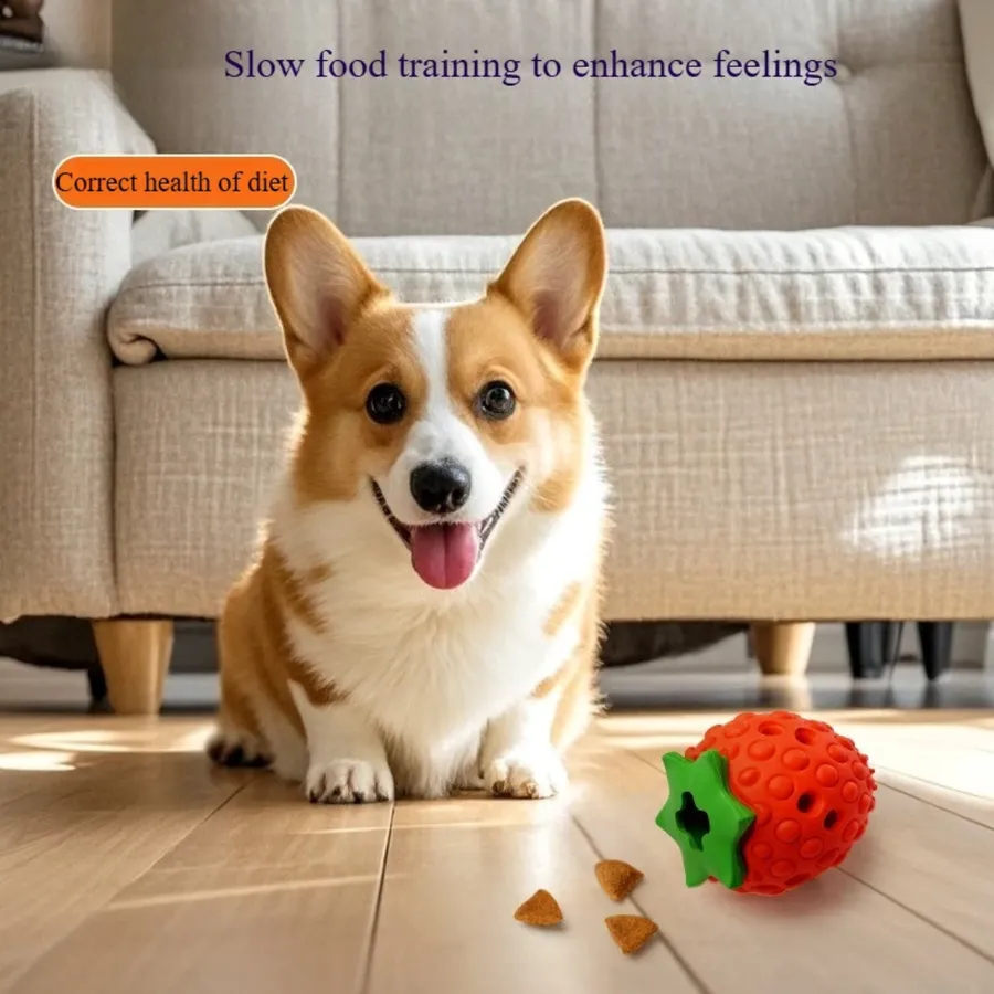 Strawberry Leak Food Dog Toy – Natural Rubber & Fun Play — wholesale Kitchen & Drinkware by the case