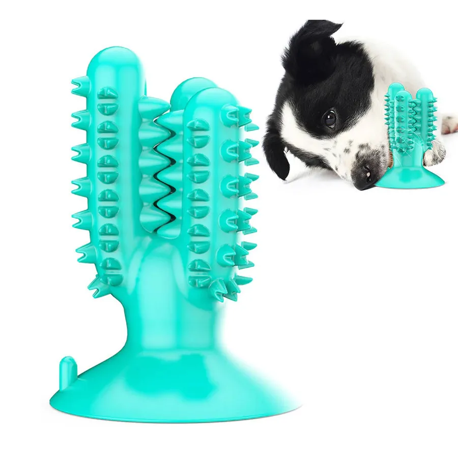 Cactus-Shaped Rubber Chew Toys - Molar — wholesale Toys & Games by the case