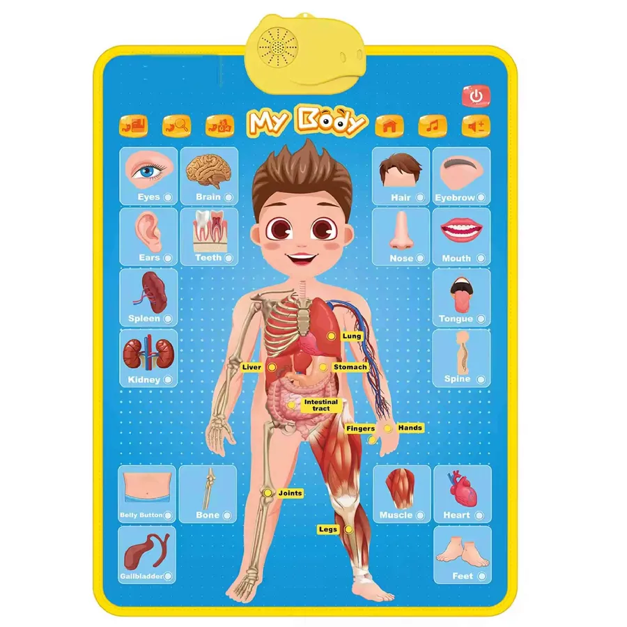 Posters Wall Chart Education Toy - Back to School - in bulk — wholesale Home & Décor by the case
