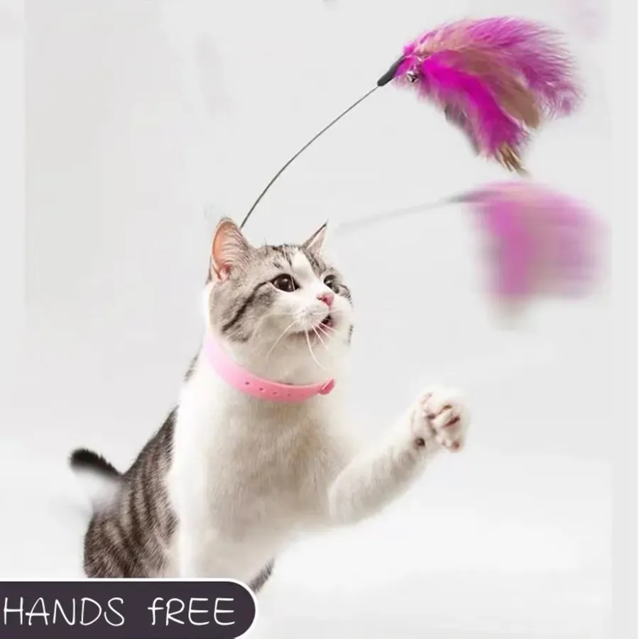 Feather Teaser Stick for Cats - Interactive & Funny — wholesale Pet by the case