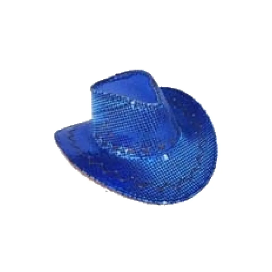 Wholesale Western Style Blue Sequin Embellished Cowboy Hat (MOQ-6) — wholesale Apparel & Accessories by the case