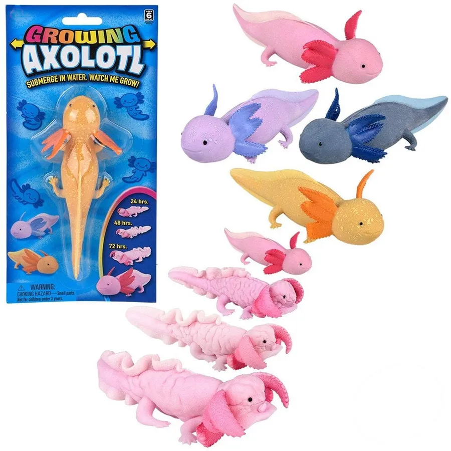 Growing Water Axolotl Toy For Kids — wholesale Toys & Games by the case