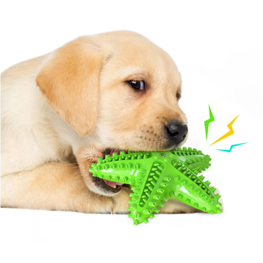 Dog Toothbrush Chew Toy - Teeth Cleaning — wholesale Pet by the case