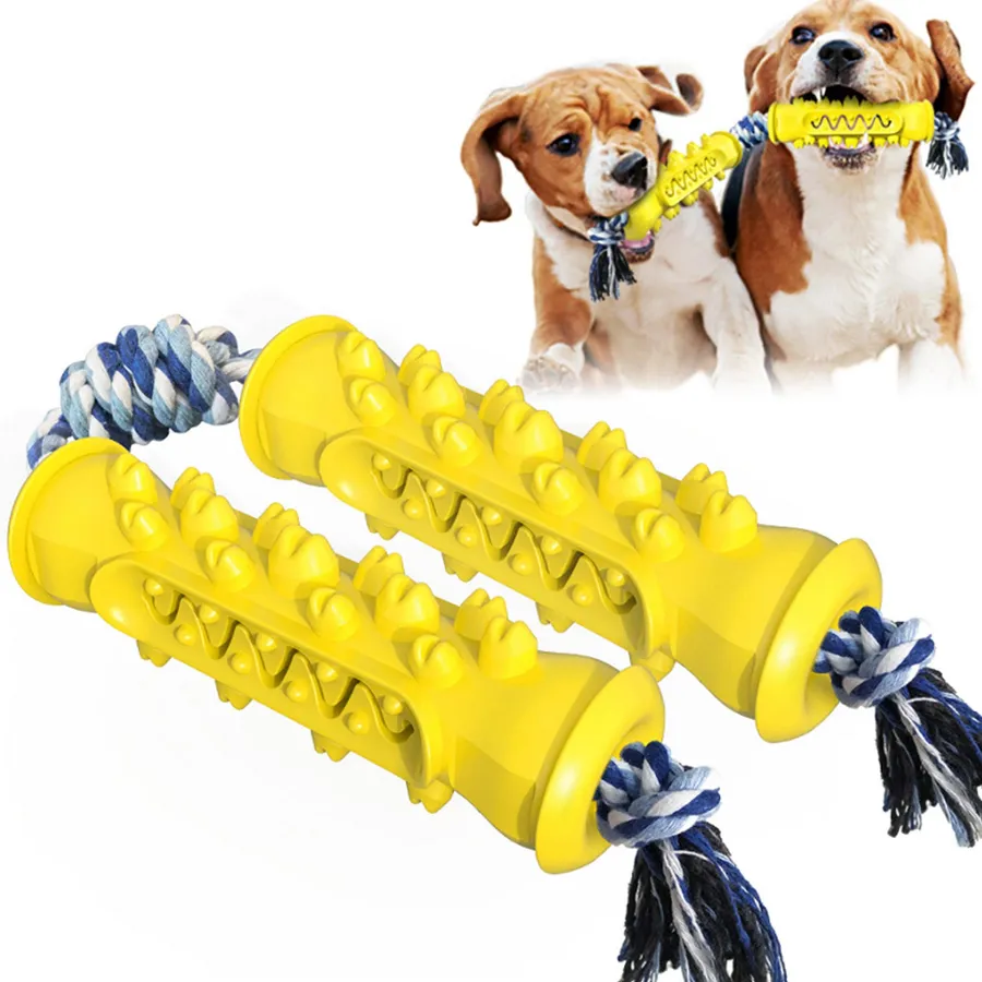Squeaky Rubber Dog Chew Toothbrush Toy - Bulk — wholesale Pet by the case