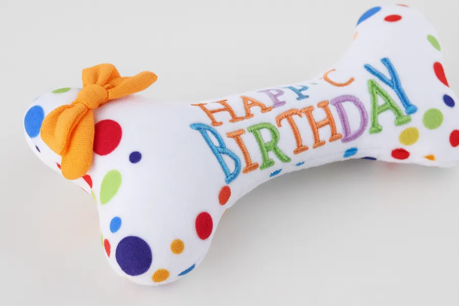 Cute Squeaky Dog Birthday Toy – Bite-Resistant Chew — wholesale Pet by the case