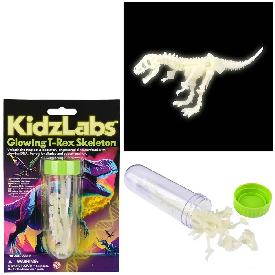 Trex Glowing Dinosaur Kids Toy Back To School — wholesale Toys & Games by the case