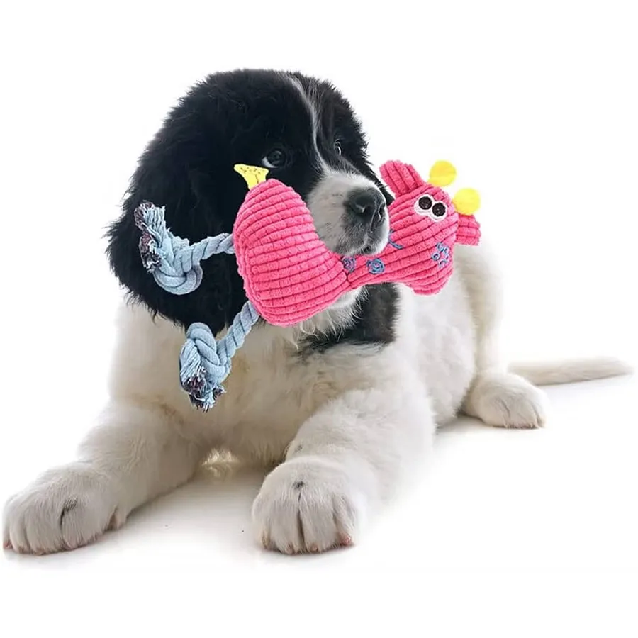 Plush Lizard Dog Chew Toy - Bulk — wholesale Plush & Squishies by the case