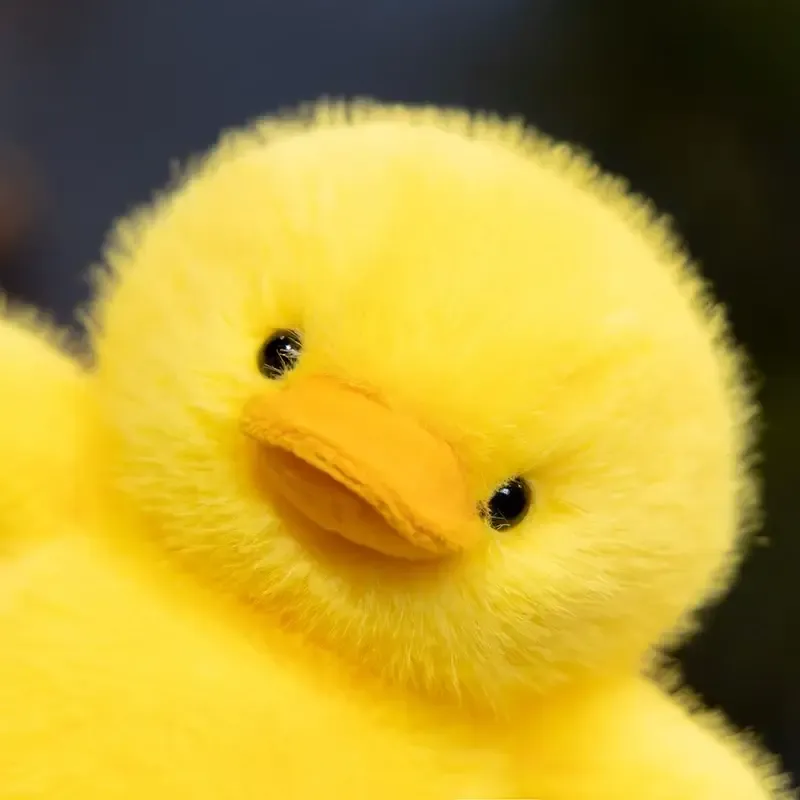Fluffy Yellow Duck Plush – Cute Easter Gift — wholesale Fidgets & Sensory by the case