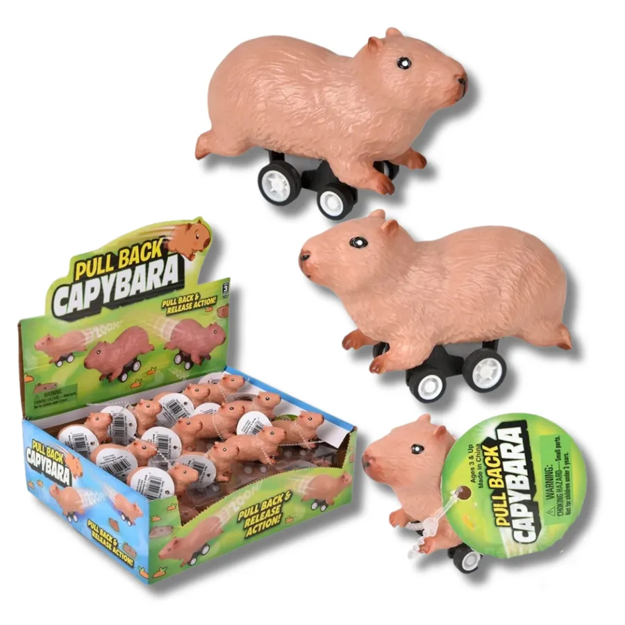 Capybara Pullback Action Fidget Kids Toy — wholesale Fidgets & Sensory by the case