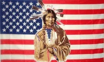 Wholesale Native American Indian Face 3' X 5' Wall Hanging Flag (MOQ-6) — wholesale Home & Décor by the case