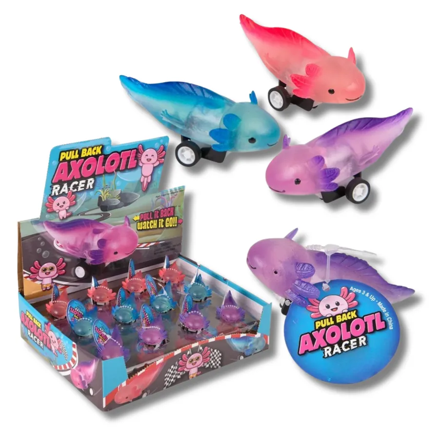 Axolotl Pull Back Car Fidget Kids Toy- Assorted — wholesale Fidgets & Sensory by the case